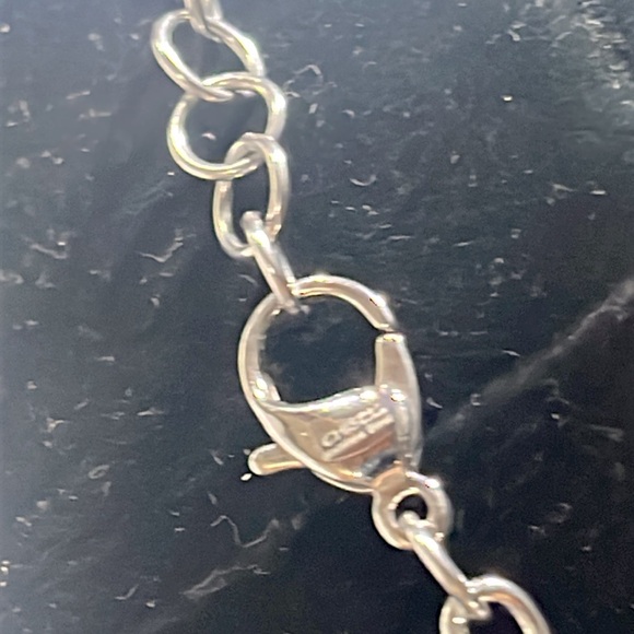 Stainless Steel Necklace and Earrings set by Chisel 2 pc set - Picture 5 of 5